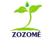 ZOZOMÉ