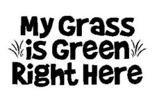 MY GRASS IS GREEN RIGHT HERE
