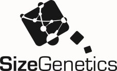 SIZEGENETICS