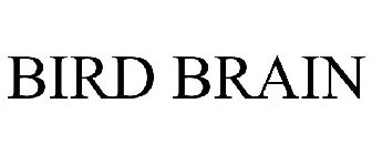 BIRD BRAIN