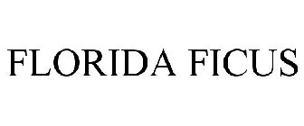 FLORIDA FICUS