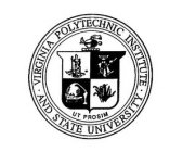 VIRGINIA POLYTECHNIC INSTITUTE AND STATE UNIVERSITY UT PROSIM