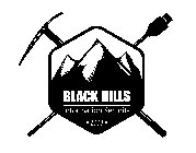BLACK HILLS INFORMATION SECURITY 2008