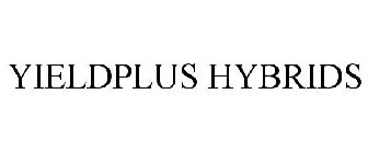 YIELDPLUS HYBRIDS