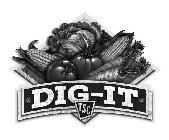 DIG-IT TSC