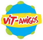 VIT-AMIGOS