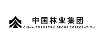 CHINA FORESTRY GROUP CORPORATION