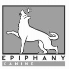 EPIPHANY CANINE