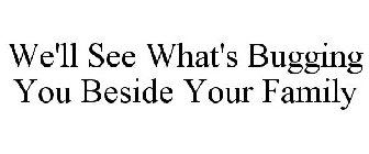 WE'LL SEE WHAT'S BUGGING YOU BESIDE YOUR FAMILY