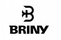 B BRINY