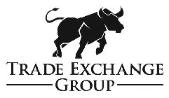 TRADE EXCHANGE GROUP