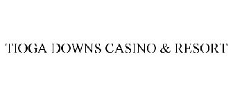 TIOGA DOWNS CASINO & RESORT