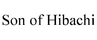 SON OF HIBACHI