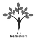 TEAMESTEEM