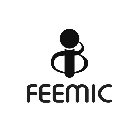 FEEMIC