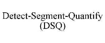 DETECT-SEGMENT-QUANTIFY (DSQ)