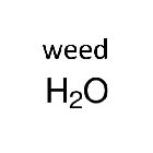 WEED H2O