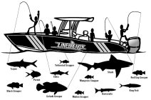 LINEBREAKER TARPON YELLOWTAIL SNAPPER SHARK PERMIT COBIA MANGROVE SNAPPER RED/GAG GROUPER BLACK GROUPER GOLIATH GROUPER MUTTON SNAPPER BARRACUDA KING FISH
