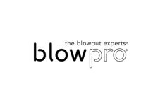 THE BLOWOUT EXPERTS BLOWPRO