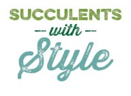 SUCCULENTS WITH STYLE