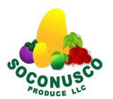 SOCONUSCO PRODUCE LLC
