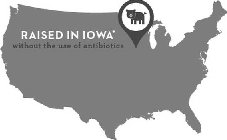 RAISED IN IOWA WITHOUT THE USE OF ANTIBIOTICS