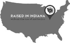 RAISED IN INDIANA WITHOUT THE USE OF ANTIBIOTICS
