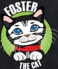 FOSTER THE CAT