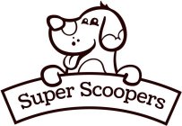 SUPER SCOOPERS