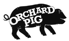 ORCHARD PIG