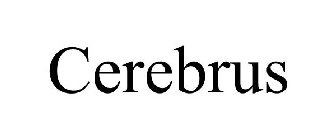 THE CEREBRUS GROUP