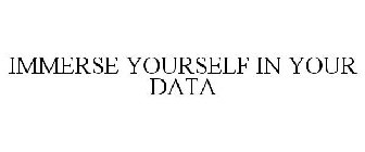 IMMERSE YOURSELF IN YOUR DATA