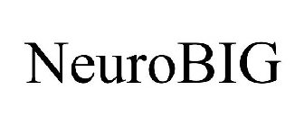 NEUROBIG