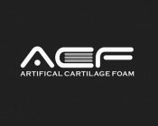 ACF ARTIFICAL CARTILAGE FOAM