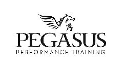 MYTHOLOGICAL WINGED HORSE PERCHED ATOP THE WORDS; PEGASUS PERFORMANCE TRAINING,
