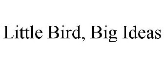 LITTLE BIRD, BIG IDEAS