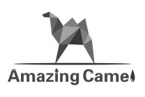 AMAZING CAMEL