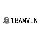 TEAMWIN