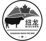 NIULONG CANADIAN GRAIN FED BEEF