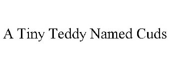 A TINY TEDDY NAMED CUDS