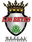 LOS REYES MEZCAL OAXACA MEXICO