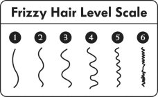 FRIZZY HAIR LEVEL SCALE