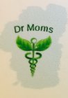 DR MOMS
