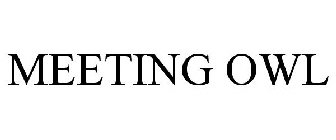 MEETING OWL