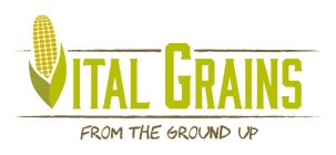 VITAL GRAINS FROM THE GROUND UP
