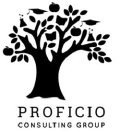 PROFICIO CONSULTING GROUP