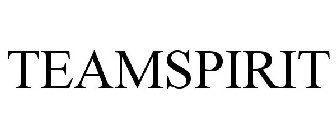 TEAMSPIRIT