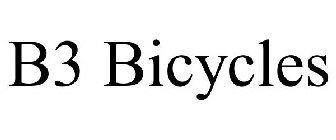 B3 BICYCLES