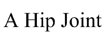 A HIP JOINT