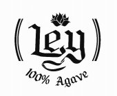 LEY 100% AGAVE